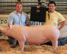 Cass County Jackpot Show Winner