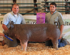 Cass County Jackpot Show Winner