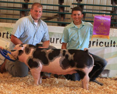 Cass County Jackpot Show Winner