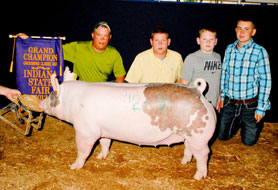 Crossbred Classic Show Pig Results