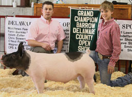 Delaware Cty