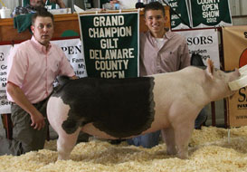 Delaware Cty