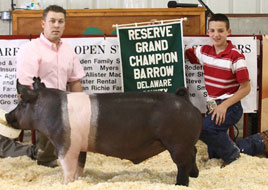 Delaware Cty