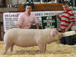 Delaware Cty