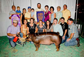 Indiana State Fair Barrow Show Results