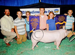 Indiana State Fair Barrow Show Results