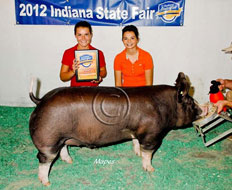 Indiana State Fair Barrow Show Results
