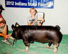 Indiana State Fair Barrow Show Results