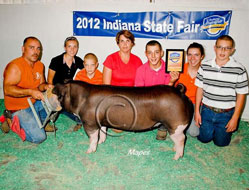 Indiana State Fair Barrow Show Results