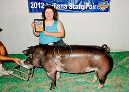Indiana State Fair Barrow Show Results