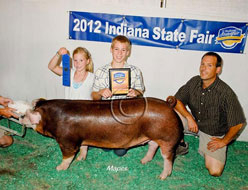 Indiana State Fair Barrow Show Results