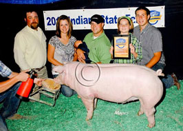 Indiana State Fair Barrow Show Results