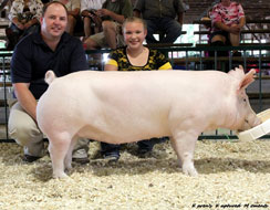 Noble County Jackpot, IN Winner