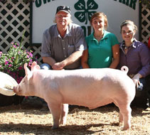 Owen Cty Jackpot