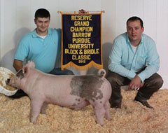 Purdue B&B