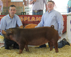 Whitley Co. IN Champions