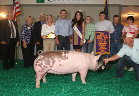 Kentucky State Fair Show Pig Results