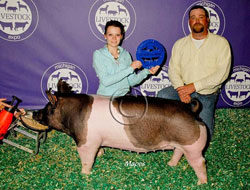 Michigan Livestock Expo