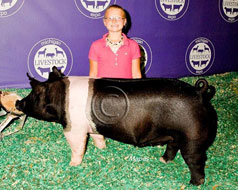 Michigan Livestock Expo