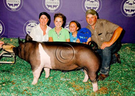 Michigan Livestock Expo