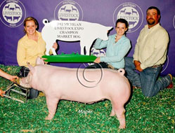 Michigan Livestock Expo