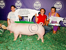 Michigan Livestock Expo