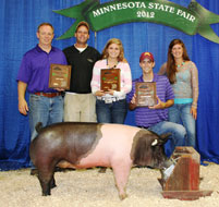 Minnesota State Fair Pig Show Results