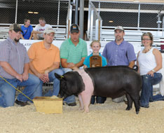 Minnesota State Fair Pig Show Results