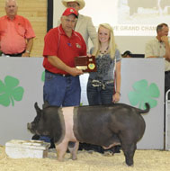 Minnesota State Fair Pig Show Results