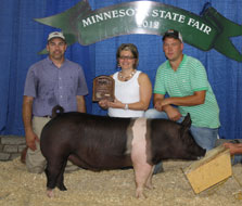 Minnesota State Fair Pig Show Results