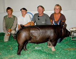 National Barrow Show Results
