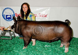 National Barrow Show Results
