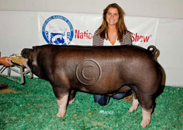 National Barrow Show Results