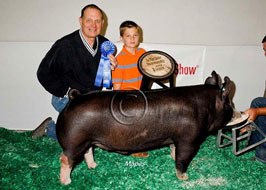 National Barrow Show Results