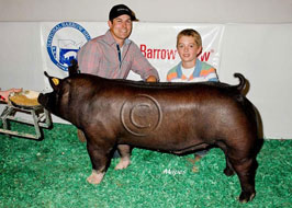 National Barrow Show Results