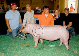 National Barrow Show Results