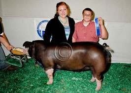 National Barrow Show Results