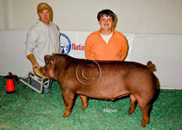 National Barrow Show Results