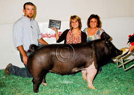 National Barrow Show Results