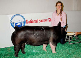 National Barrow Show Results