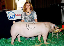 National Barrow Show Results