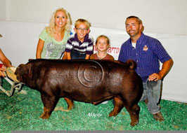 National Barrow Show Results