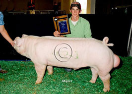NBS Open Show Results