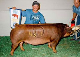 NBS Open Show Results