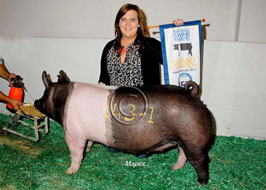 NBS Open Show Results