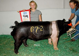 NBS Open Show Results