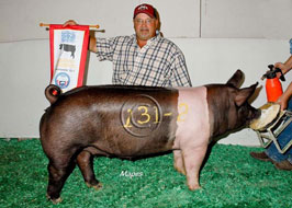 NBS Open Show Results