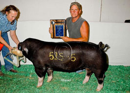 NBS Open Show Results