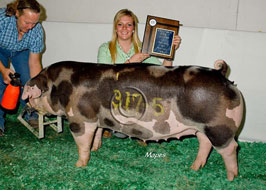 NBS Open Show Results