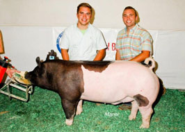 National Barrow Show Results
